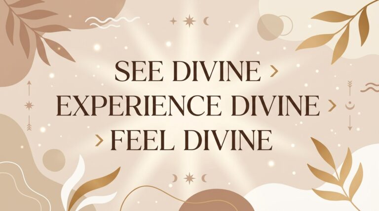 See Devine > Experience Devine > Feel Devine >